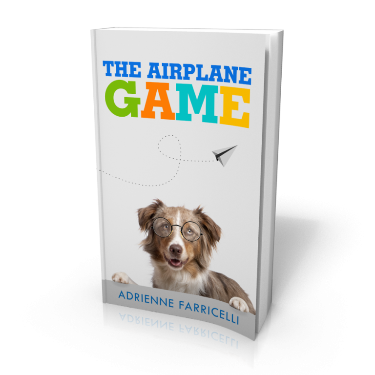 The Airplane Game